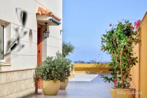 A garden outside Villa Galasol with heated pool