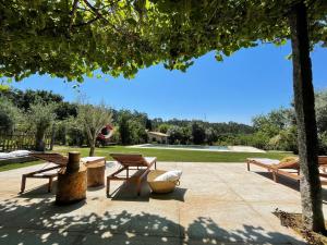 a patio with picnic tables and benches in a park at Casa de Vilar de Rei, férias em família com piscina in Ponte de Lima