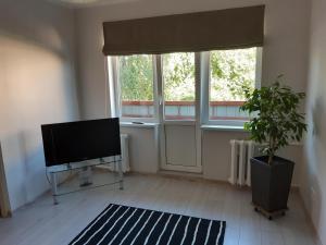 een woonkamer met een flatscreen-tv en een potplant bij Apartment Südalinnas in Haapsalu