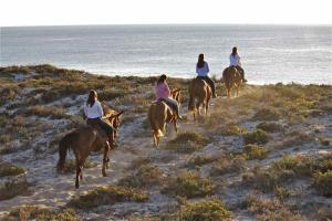 Άλλα ζώα σε αυτή η παραθεριστική κατοικία ή στη γύρω περιοχή