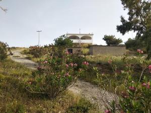 Vonkajšia záhrada v ubytovaní CAMARES HOUSE