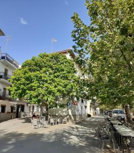 a street with tables and chairs and a tree at Apartamentos Pinos Genil in Pinos Genil