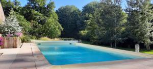 a swimming pool in a yard with trees at Maison d'Hôtes l'Ayguevives in Faverolles-sur-Cher