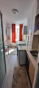 uma cozinha com um lavatório e uma bancada em Apartament La Denis em Bîrlad