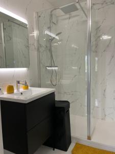 a bathroom with a shower and a sink and a mirror at Lac de maine - 75m2 refait a neuf in Angers
