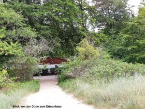 a path with a bench in the middle of a forest at Kleiner Bungalow - Zum Strand 50m in Ueckeritz