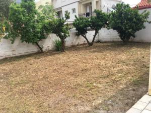 Φωτογραφία από το άλμπουμ του Lena’s traditional villa στην Αγία Ευφημία +31 φωτογραφίες