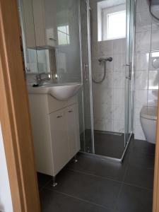 Un baño con ducha, lavabo e inodoro. en House Mia, en Starigrad-Paklenica 31 fotos más
