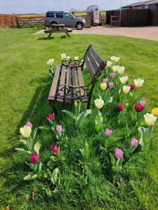 Colkirk的住宿－FIELDVIEW FARMHOUSE BED AND BREAKFAST，坐在草地上的公园长凳上,花朵