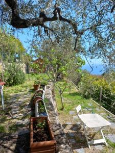 a row of benches and a table and a tree at La casa di Elda in Sanremo