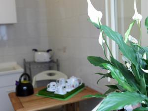 una mesa en una cocina con una planta en B&B La Terrazza Sul Porto en Trapani