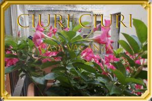 A garden outside Ciuri Ciuri