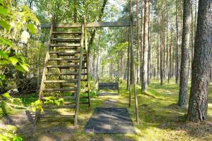 Fotografie z fotogalerie ubytování Forest Cottage v destinaci Neringa