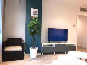 uma sala de estar com uma televisão e um vaso de plantas em Llull Home em Barcelona