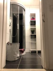 a bathroom with a walk in shower and a mirror at Appartements Gabat Nähe Red Bull Ring in Sankt Michael in Obersteiermark