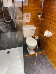 Kylpyhuone majoituspaikassa Snowdonia cabin