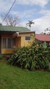 una casa amarilla con techo verde y algunas plantas en Hotel Rosa De Sharon, en Marsella