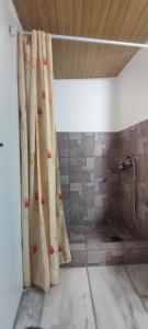 La salle de bains est pourvue d'un rideau de douche. dans l'établissement Stella's House, à Apróvaton