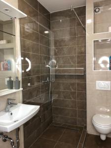 a bathroom with a shower and a toilet and a sink at Apartman Mia in Pale