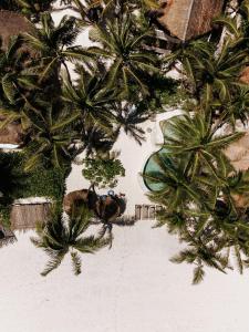 Ptičja perspektiva nastanitve Mahayana Tulum Beach Homes