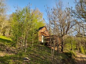 a log cabin on a hill in the woods at Mon chalet au cœur des Cévennes in Vébron