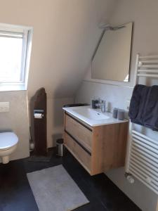 uma casa de banho com um lavatório e um WC em Ferienwohnung Michael em Bremm