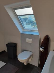 a bathroom with a toilet and a skylight at Ferienwohnung Michael in Bremm