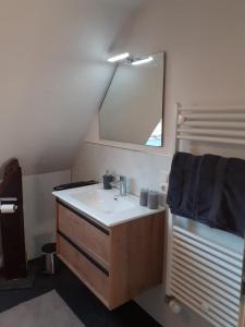 uma casa de banho com um lavatório e um espelho em Ferienwohnung Michael em Bremm