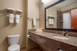 a bathroom with a toilet and a sink with a mirror at Best Western Troy Inn in Troy