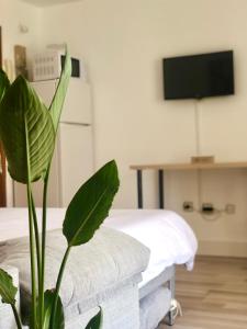 Televízia a/alebo spoločenská miestnosť v ubytovaní Valdelagrana vistas al mar, piscinas primera linea cadiz