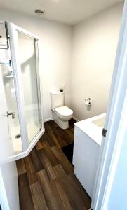 a bathroom with a toilet and a shower at Lakeside Getaway in Otematata-2 bedroom unit - B3 in Otematata