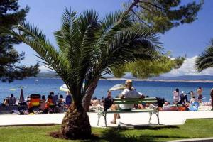 Fotografia z galérie ubytovania Apartment in Crikvenica 42428 v destinácii Crikvenica
