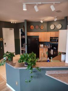 Revived Condo with Pool and 20 minutes from parks的厨房或小厨房