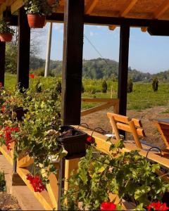 Zahrada ubytování Etno kuća Ostrvica