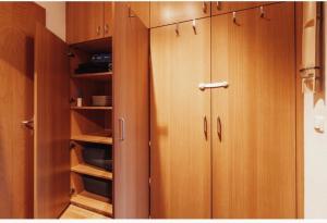 einen Schrank mit Holztüren und Regalen in einem Zimmer in der Unterkunft Die kleine „Louise“ in der Neustadt mit Tiefgarage in Dresden
