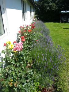 Zahrada ubytování Borrby B&B