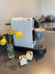 a coffee maker on a counter with a vase with flowers at Walnut Block Cottages in Blenheim
