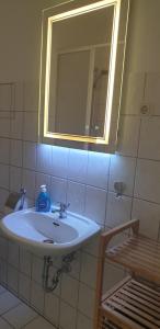 a bathroom with a sink and a mirror at Möblierte Wohnung auf Zeit in Mühlhausen +5 photos