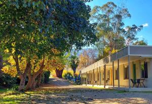 a yellow building with a tree next to it at Restaway Holiday Units in Porepunkah