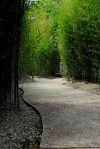 Paesaggio naturale nelle vicinanze dell'hotel