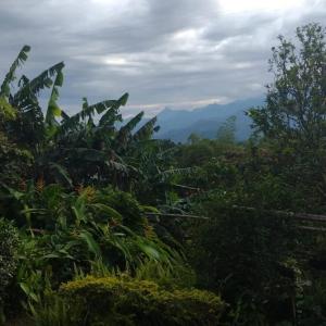 Gallery image of Finca Villa Hailey in Cali