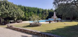 einen Garten mit einem Pool mit Stühlen und einem Sonnenschirm in der Unterkunft Studio avec terrasse privative et piscine in Grillon