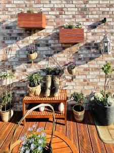 a brick wall with potted plants on a patio at Extravagantes Apartment in Potsdam