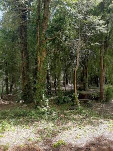 un banco de madera en medio de un bosque en CABAÑAS DON EDUARDO, en Melipeuco