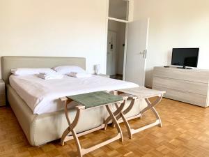een slaapkamer met een bed en een tafel met een televisie bij Appartamento Bolzano - Vittorio Veneto - Parcheggio incluso in Bolzano