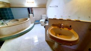 ein Badezimmer mit einer Badewanne, einem Waschbecken und einem WC in der Unterkunft Gîte Chez Léo in Varennes-sur-le-Doubs