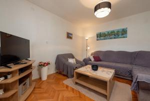 Μια τηλεόραση ή/και κέντρο ψυχαγωγίας στο Holiday House Marin Vinisce