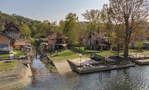 a dog is sitting on a dock in the water at Dunavska Kuća in Smederevo