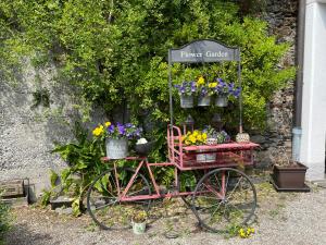 Imagen de la galería de Casa Realba, en Brissago 88 fotos más
