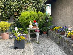 Imagen de la galería de Casa Realba, en Brissago